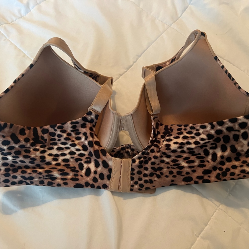 Ambrielle Bra Bundle - image 2